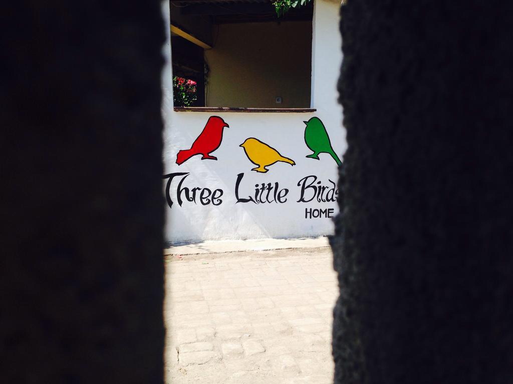 Three Little Birds Homestay Джили Трауанган Екстериор снимка