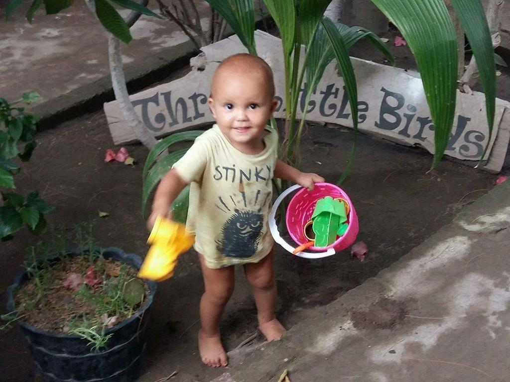 Three Little Birds Homestay Джили Трауанган Екстериор снимка